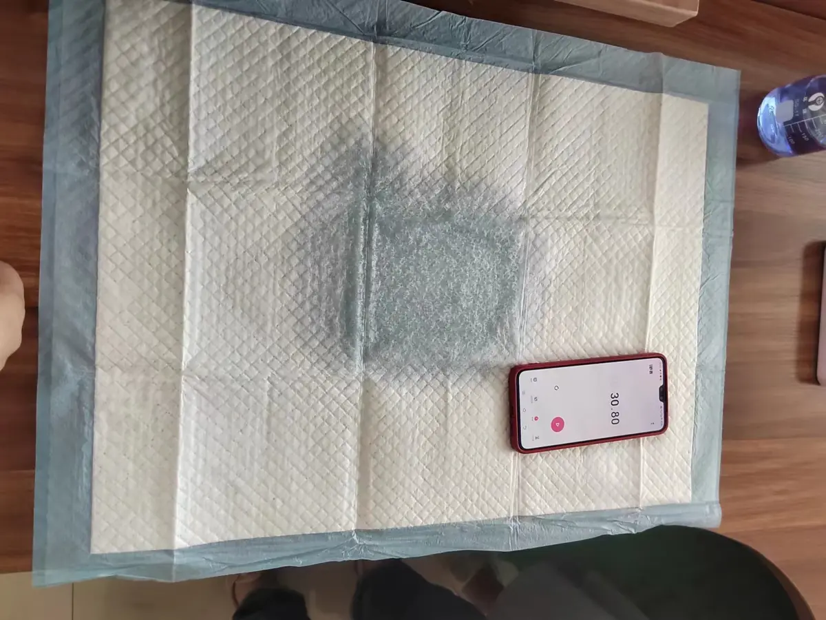 Absorbency testing for CDHB pet training pads