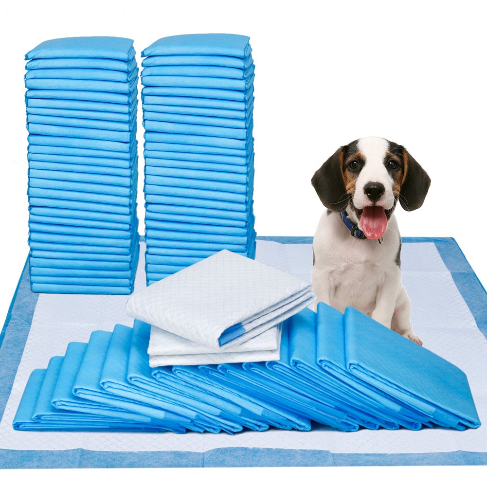 Dog Pad: The Comfy Little World for Your Dog 