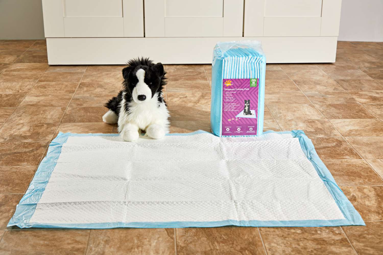 Dog Pad vs. Dog Bed: Which Is Right for Your Pet? 