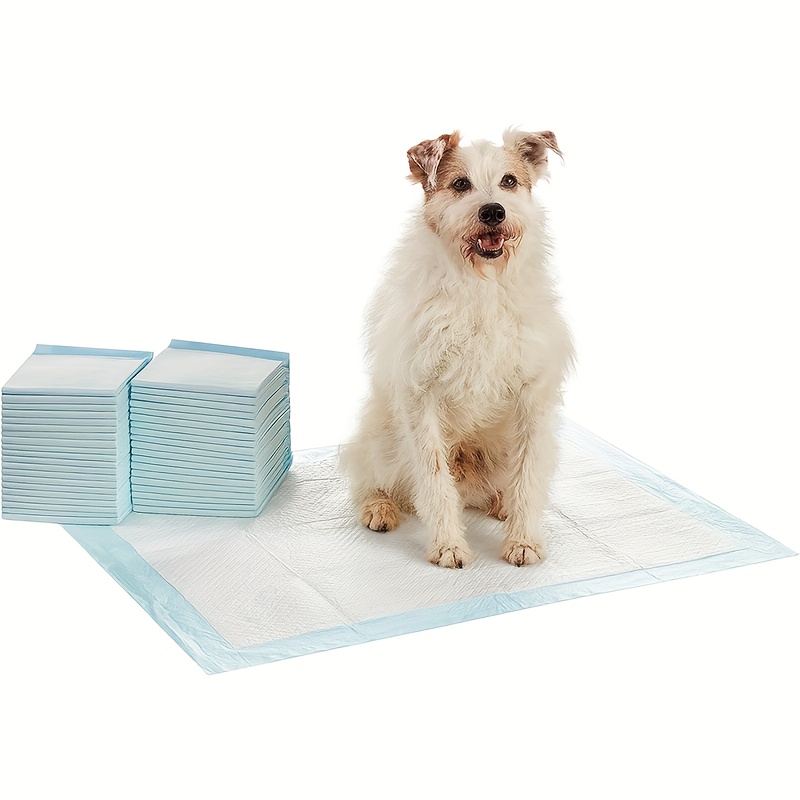 Puppy wee training mats for Quick Drying & Home Cleanliness