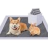 Charcoal Pet Training Mat Manufacturer Activated Carbon Dog Pee Pads