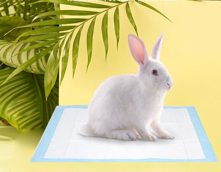 Manufacturer Pet Training Pee Pad Good Quality Rabbit Potty pad