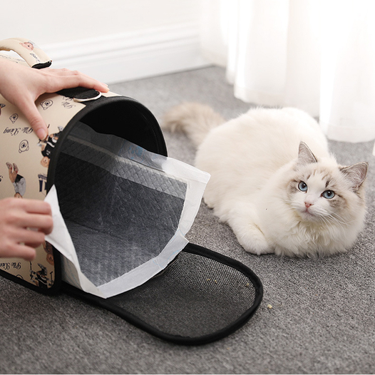 Wholesale Charcoal Pet Pee Training Pads Manufacturer Activated Carbon Cat Pee Pads